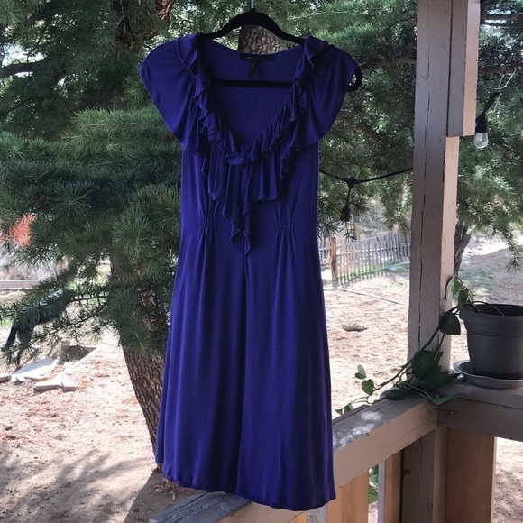 🌻 BCBG Maxazria Periwinkle Dress - Picture 5 of 9